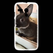 Coque Motorola G Lapin nair noir et gris 75