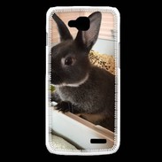 Coque LG L90 Lapin nair noir et gris 75