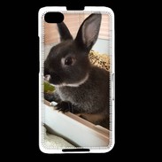 Coque Blackberry Z30 Lapin nair noir et gris 75