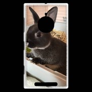 Coque Nokia Lumia 830 Lapin nair noir et gris 75
