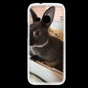 Coque HTC One Mini 2 Lapin nair noir et gris 75