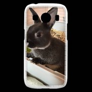Coque Samsung Galaxy Ace4 Lapin nair noir et gris 75