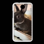 Coque HTC Desire 300 Lapin nair noir et gris 75