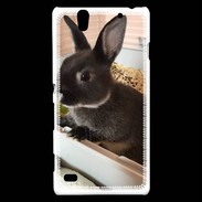 Coque Sony Xperia C4 Lapin nair noir et gris 75