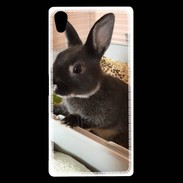 Coque Sony Xperia Z5 Premium Lapin nair noir et gris 75
