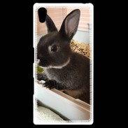Coque Sony Xpéria Z5 Lapin nair noir et gris 75