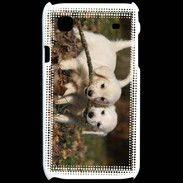 Coque Samsung Galaxy S Duo de chiot golden retriever