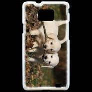 Coque Samsung Galaxy S2 Duo de chiot golden retriever