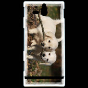Coque Sony Xperia U Duo de chiot golden retriever