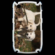 Coque Blackberry 8520 Duo de chiot golden retriever