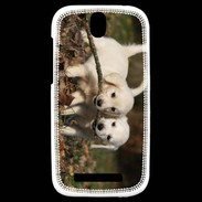 Coque HTC One SV Duo de chiot golden retriever