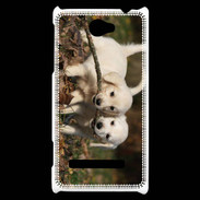 Coque HTC Windows Phone 8S Duo de chiot golden retriever