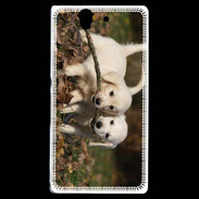 Coque Sony Xperia Z Duo de chiot golden retriever