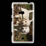 Coque Nokia Lumia 625 Duo de chiot golden retriever