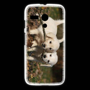 Coque Motorola G Duo de chiot golden retriever