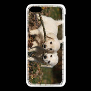 Coque iPhone 5C Duo de chiot golden retriever