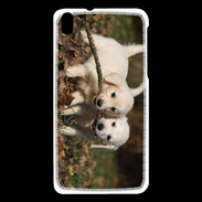 Coque HTC Desire 816 Duo de chiot golden retriever