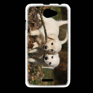 Coque HTC Desire 516 Duo de chiot golden retriever
