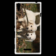 Coque Sony Xperia T3 Duo de chiot golden retriever