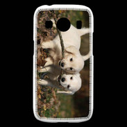 Coque Samsung Galaxy Ace4 Duo de chiot golden retriever