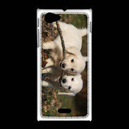 Coque Sony Xpéria J Duo de chiot golden retriever