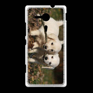 Coque Sony Xpéria SP Duo de chiot golden retriever