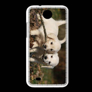 Coque HTC Desire 300 Duo de chiot golden retriever
