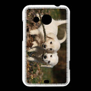 Coque HTC Desire 200 Duo de chiot golden retriever
