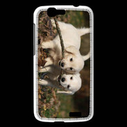 Coque Huawei Ascend G7 Duo de chiot golden retriever