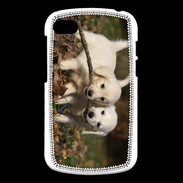 Coque Blackberry Q10 Duo de chiot golden retriever