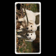 Coque Sony Xperia Z5 Premium Duo de chiot golden retriever