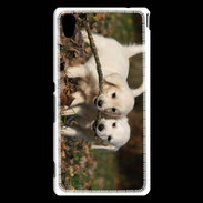 Coque Sony Xperia M4 Aqua Duo de chiot golden retriever