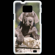 Coque Samsung Galaxy S2 Chiot dogue Allemand