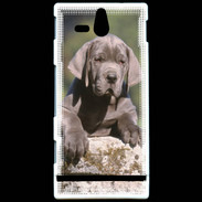 Coque Sony Xperia U Chiot dogue Allemand