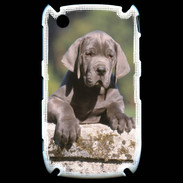 Coque Blackberry 8520 Chiot dogue Allemand