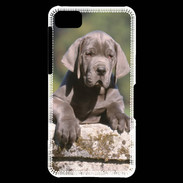 Coque Blackberry Z10 Chiot dogue Allemand