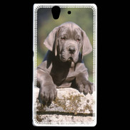 Coque Sony Xperia Z Chiot dogue Allemand
