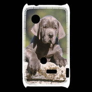 Coque Sony Xperia Typo Chiot dogue Allemand
