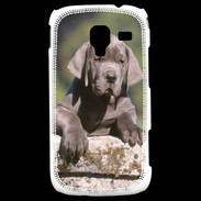 Coque Samsung Galaxy Ace 2 Chiot dogue Allemand