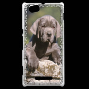 Coque Sony Xperia M Chiot dogue Allemand
