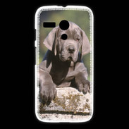 Coque Motorola G Chiot dogue Allemand