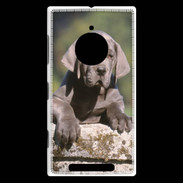Coque Nokia Lumia 830 Chiot dogue Allemand