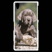 Coque Sony Xperia Z2 Chiot dogue Allemand