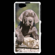 Coque Sony Xperia Z1 Compact Chiot dogue Allemand