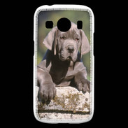 Coque Samsung Galaxy Ace4 Chiot dogue Allemand
