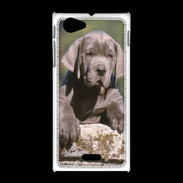 Coque Sony Xpéria J Chiot dogue Allemand