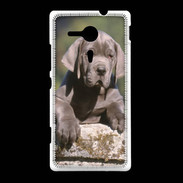Coque Sony Xpéria SP Chiot dogue Allemand