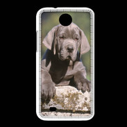 Coque HTC Desire 300 Chiot dogue Allemand