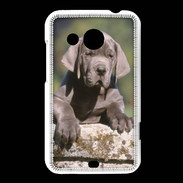 Coque HTC Desire 200 Chiot dogue Allemand