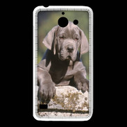 Coque Huawei Y550 Chiot dogue Allemand